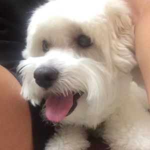 Meet your Posher, Sally